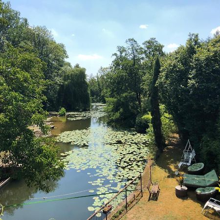 Magnifique Moulin Proche Chablis, Jacuzzi Et Riviere Villa Annay-sur-Serein Bagian luar foto