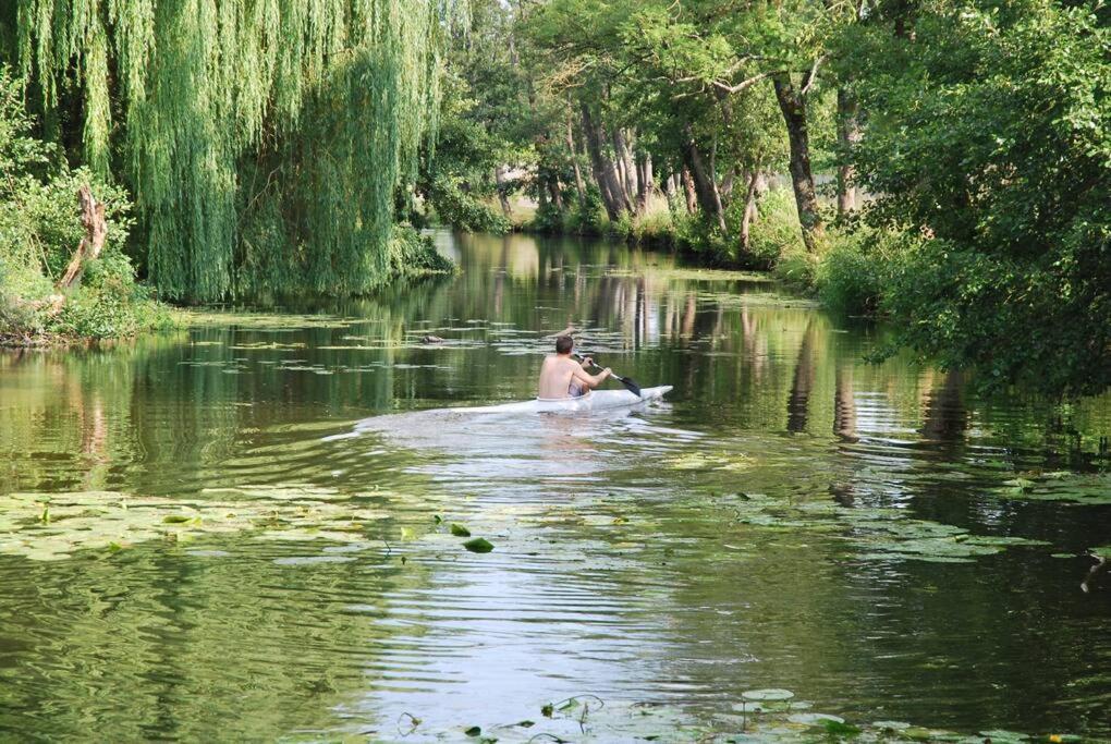 Magnifique Moulin Proche Chablis, Jacuzzi Et Riviere Villa Annay-sur-Serein Bagian luar foto