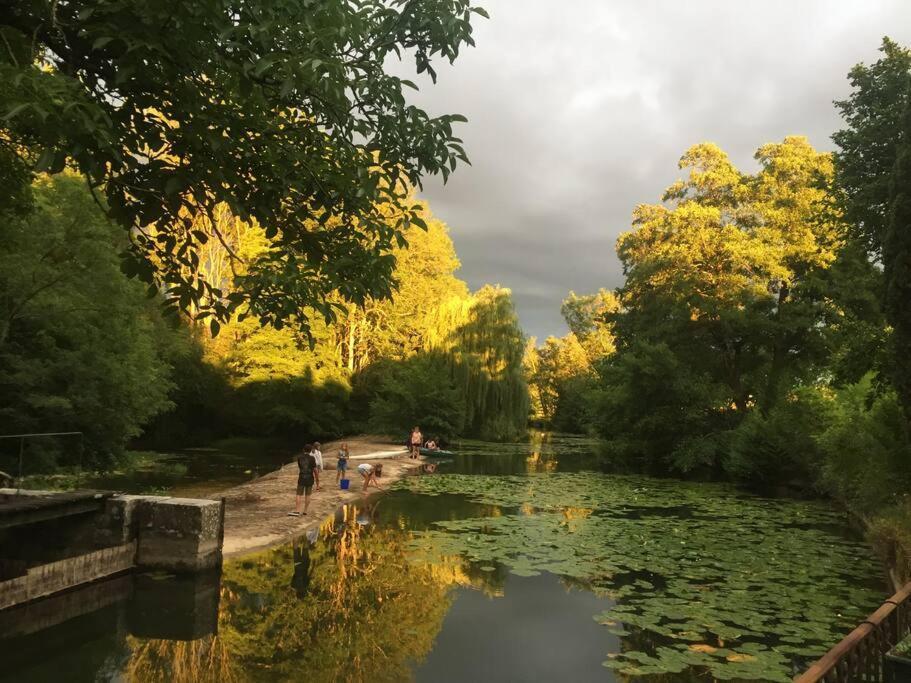 Magnifique Moulin Proche Chablis, Jacuzzi Et Riviere Villa Annay-sur-Serein Bagian luar foto