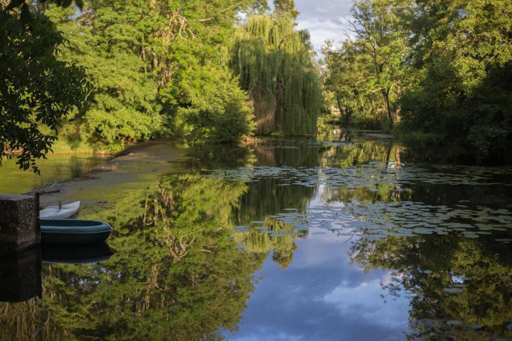 Magnifique Moulin Proche Chablis, Jacuzzi Et Riviere Villa Annay-sur-Serein Bagian luar foto