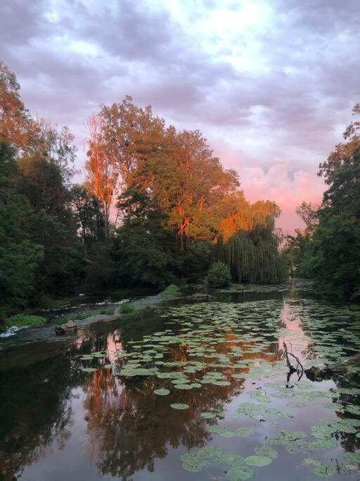 Magnifique Moulin Proche Chablis, Jacuzzi Et Riviere Villa Annay-sur-Serein Bagian luar foto