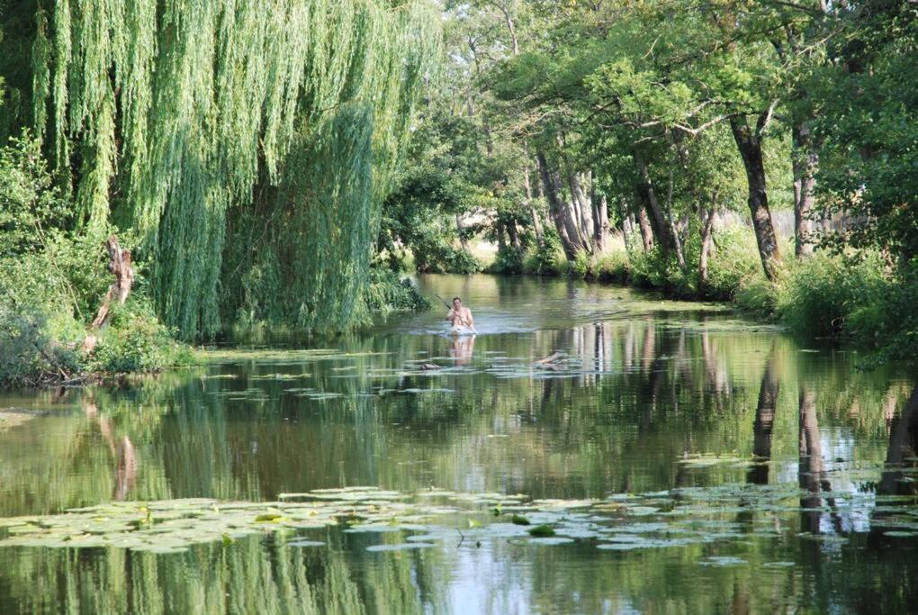Magnifique Moulin Proche Chablis, Jacuzzi Et Riviere Villa Annay-sur-Serein Bagian luar foto