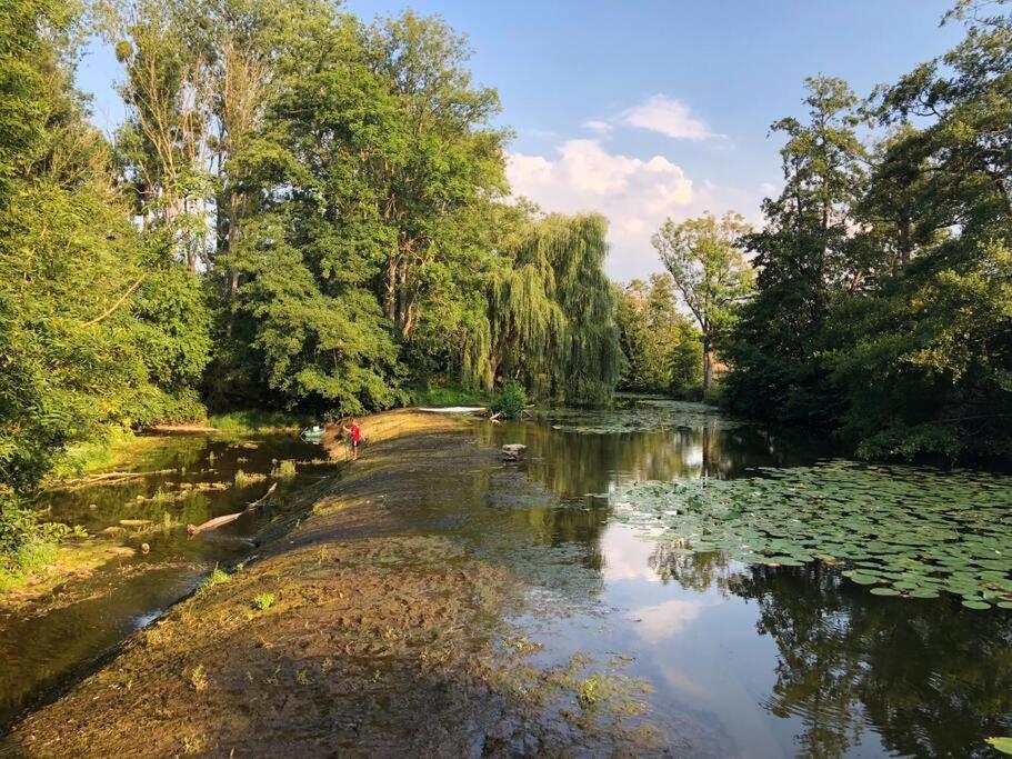 Magnifique Moulin Proche Chablis, Jacuzzi Et Riviere Villa Annay-sur-Serein Bagian luar foto