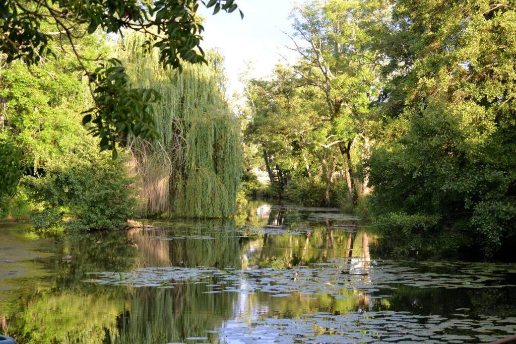 Magnifique Moulin Proche Chablis, Jacuzzi Et Riviere Villa Annay-sur-Serein Bagian luar foto
